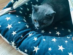 -iF摄影•全家福•证件照•形象照(南山店)