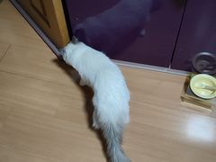 -美联众合动物医院·24h京西诊疗中心