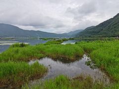 -腾冲北海湿地