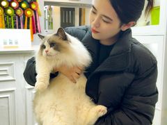 -青奢宠物·青奢猫舍