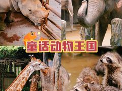 -长鹿旅游休博园