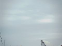 -碧海金沙