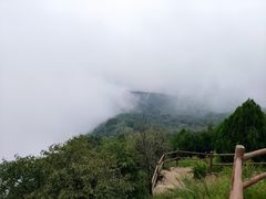 -阳台山自然风景区