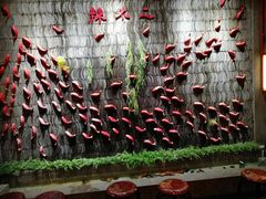 -辣不二地道川菜(汉水路店)
