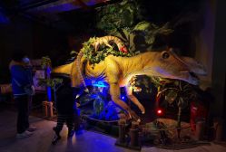 -恐龙探索乐园(磁器口店)