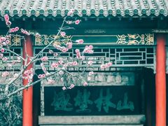 -碑林公园