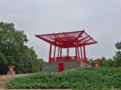 -大望京公园