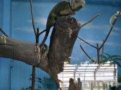 -石家庄市动物园