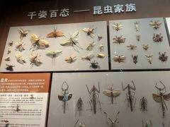 -天津自然博物馆