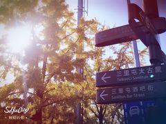 -三里屯东五街银杏大道