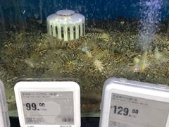 -盒马鲜生(大行宫店)