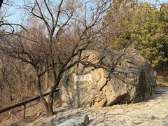 -阳台山自然风景区