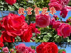 -故宫博物院(故宫)
