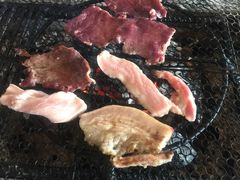 -蘑统田下·野生菌火锅