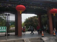 -文瀛公园