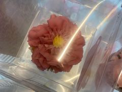 -BON CAKE(华贸购物中心店)