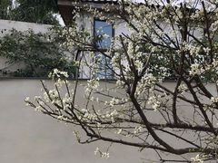 -悦哉·派对·草坪婚礼·围炉煮茶(三圣乡店)