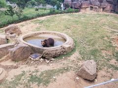 -无锡动物园·太湖欢乐园