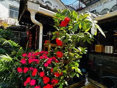 -尽善百年古院餐厅(王家老宅店)