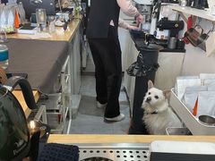 -悟白咖啡WoobyCafe
