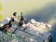 -阿育王寺