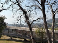 -东钱湖旅游度假区