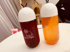 -浣熊柯尔鸭土拨鼠·电玩咖