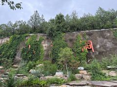 -八奇洞景区