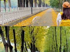 -汉长安城未央宫国家考古遗址公园