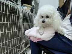 -爱妮康宠物医院·干细胞免疫细胞·肿瘤·心脏(张江店)