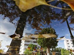 -辽东学院(南校区)