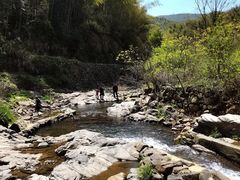 -宁波浙东大竹海景区