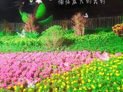 -白石龙音乐公园