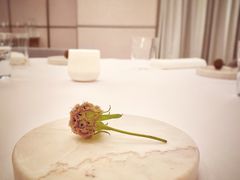 -Odette