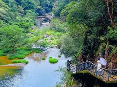 -龙湾潭国家森林公园