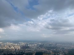 -长虫山生态公园风景林