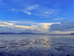 -深圳湾公园(南山区)
