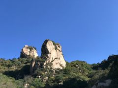 -大岭沟猕猴桃谷风景区