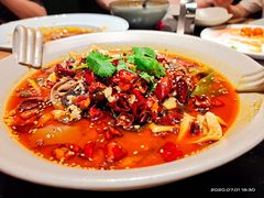 -辛香汇·现炒川菜(淮海路百盛店)