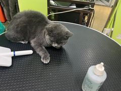 -沐沐家宠物(成寿寺店)