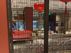 -眉州东坡(民族园店)