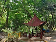 -莫干山风景区