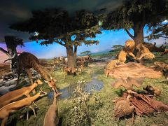 -国家自然博物馆