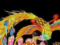 -武汉园博园(武汉自然博物馆)