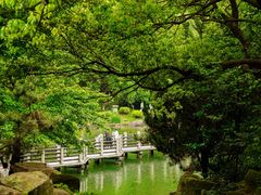 -白马涧龙池景区