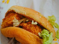 -麦当劳(红旗路店)