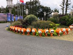 -上海长兴岛郊野公园