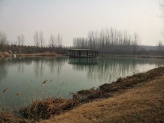 -淇河国家湿地公园