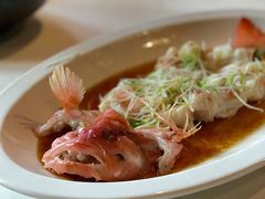 清蒸老虎斑-三号黄浦会Canton Table