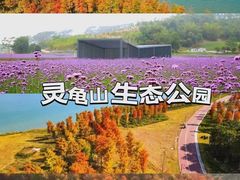 -南宁南湖公园